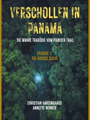 cover image of Die grosse Suche